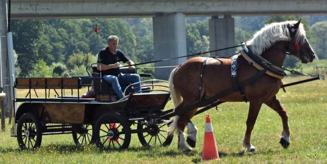 DSC_6684           a